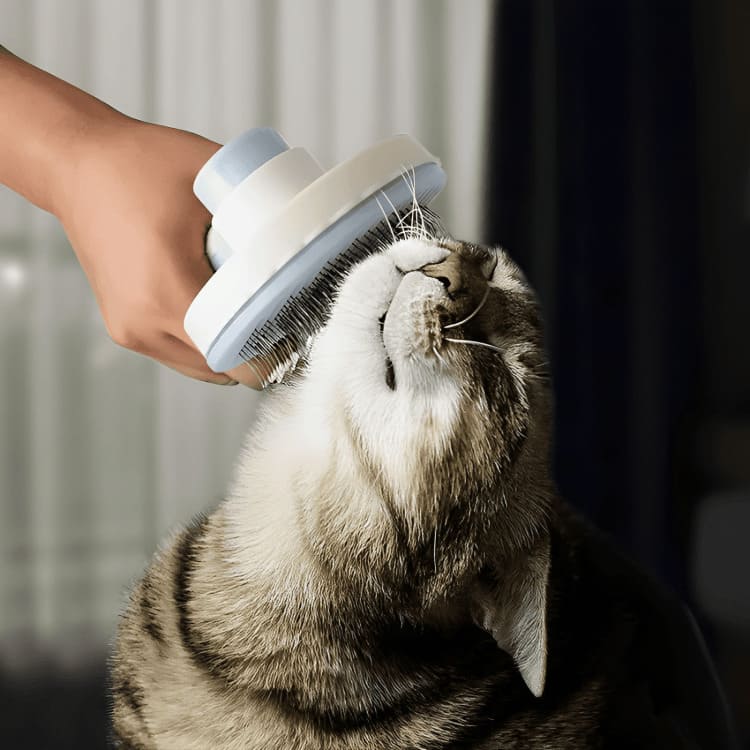 Escova Prática para Pets - Purrfect Remover®